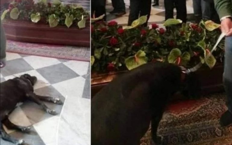 Il padrone muore e lui rimane a vegliare la bara durante il funerale: il grande amore di Nerone per Angelo