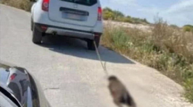 Lo lega all’auto e lo trascina: cane muore per le terribili ferite. Uomo sanzionato nel Siracusano, si indaga