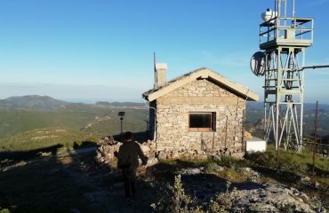 Punta Margiani Pubusa, a 1300 mslm, nel territorio di Seui.