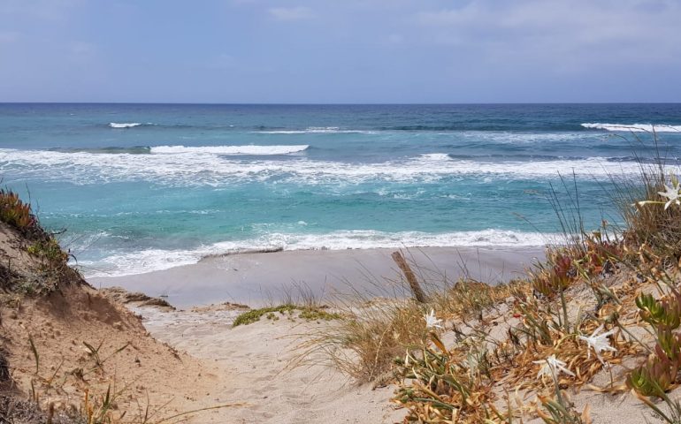 Il mare della penisola del Sinis, nella costa dell'oristanese