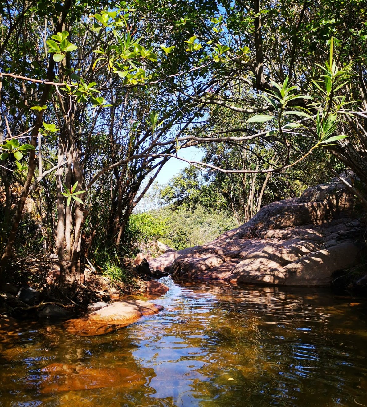 Le piscine naturali di Coccorrocci nel litorale gairese.