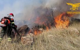 Incendi in Sardegna in questo mese di agosto, un'immagine dei pompieri in azione.