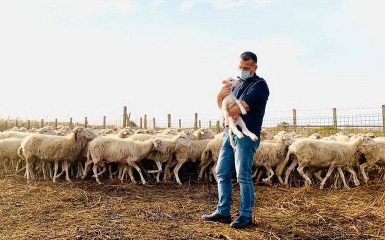 Il pastore è positivo al Covid-19, il sindaco gli guarda le pecore