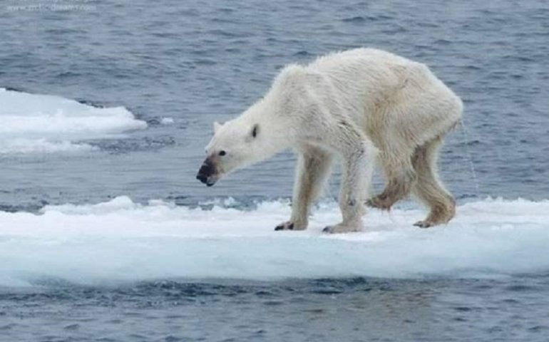 Clima, taglio emissioni del 55% entro il 2030. «Non esiste un piano B», raggiunta intesa al summit Ue