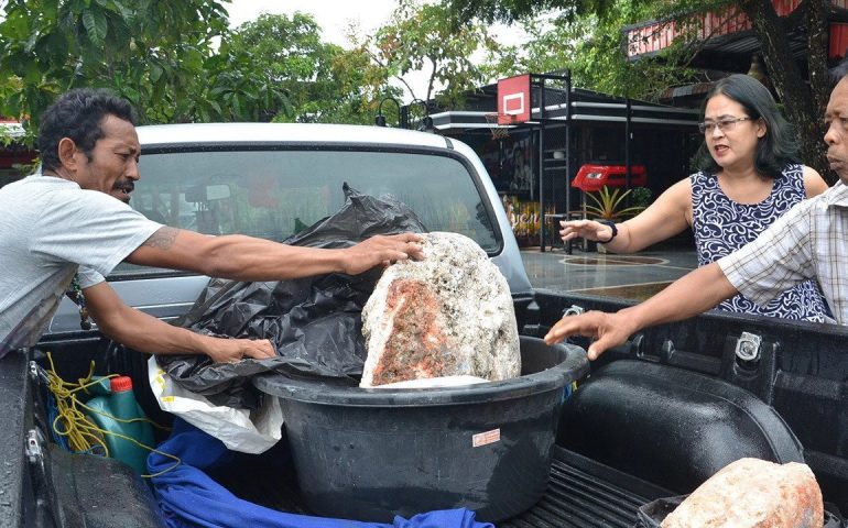 Trova una strana roccia su una spiaggia thailandese e scopre che vale più di 3milioni di dollari