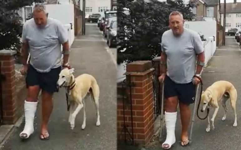 Porta il cane che zoppica dal veterinario e scopre che lo stava “solo” imitando. È successo a Londra