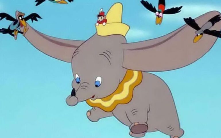 dumbo