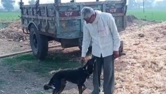 India: lascia l’eredità all’amato cane Jacky. «I figli mi hanno deluso, lui mai»