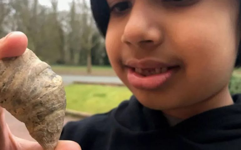 Gran Bretagna, bambino scava in giardino e trova un fossile di 488 milioni di anni