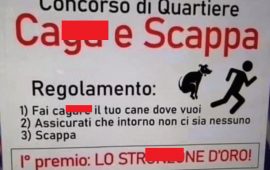 concorso-escrementi-di-cane