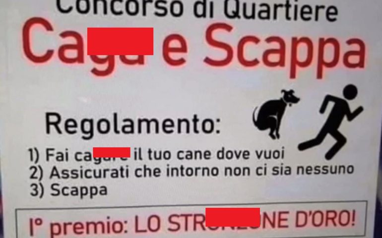 concorso-escrementi-di-cane