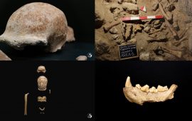 neanderthal-circeo-scoperta (2)