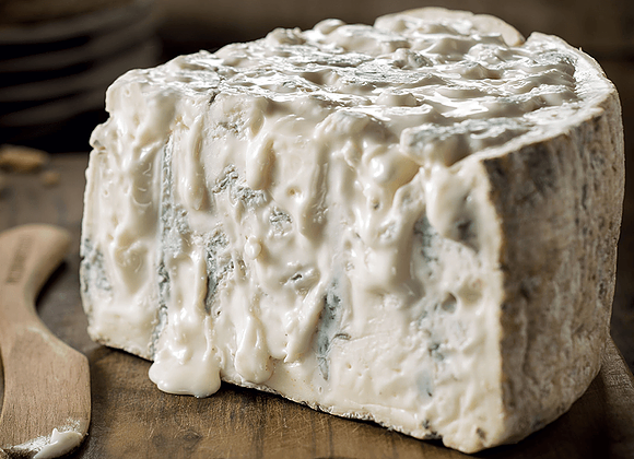 gorgonzola dop