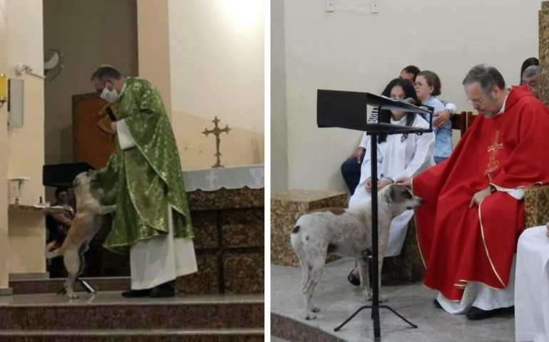 Il prete che porta alla messa i cani abbandonati per farli adottare: le foto fanno impazzire il web