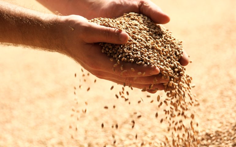 Lamorgese lancia l’allarme: “Con la crisi del grano aumenteranno gli sbarchi in Italia”
