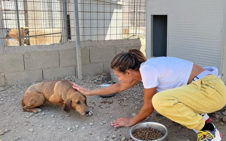 Elisabetta Canalis, in bacàntzia in Sardigna, torrat a agatare sos canes de su canile de Terranoa