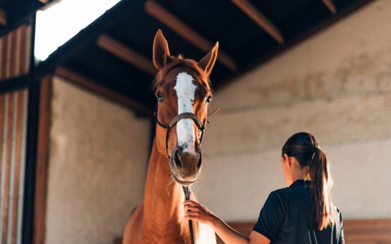 Le negano lo smart working e lei va al lavoro a cavallo: succede a Cesena