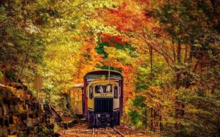 È pronto a ripartire il Treno del Foliage: un viaggio tra i colori dell’autunno tra Italia e Svizzera