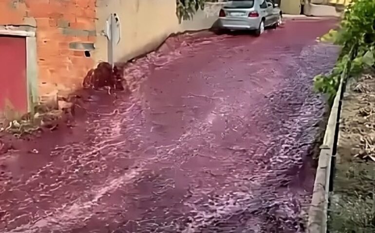 Fiume di vino rosso inonda le strade di un paesino in Portogallo