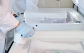 Two young researchers storing samples in the laboratory freezer.