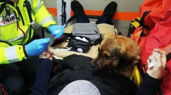 Si sente male e, per tranquillizzarlo, fanno salire anche il suo amato cane in ambulanza con lui