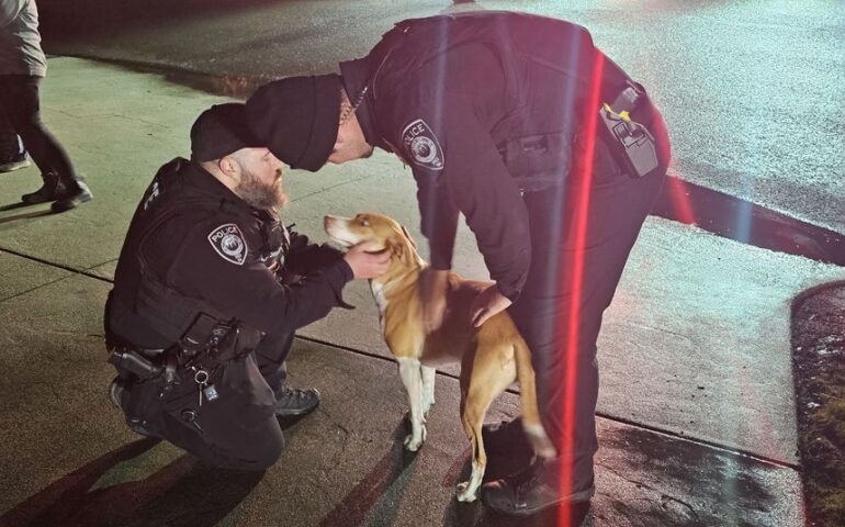 Lucy, l’eroina a quattro zampe: la cagnolina che ha salvato padroni e vicini di casa