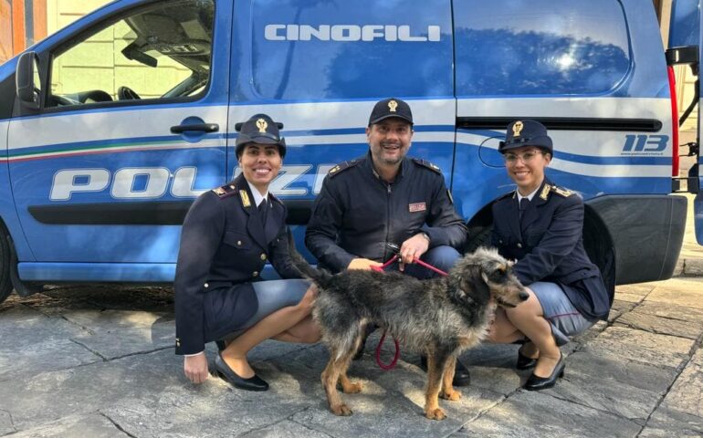 Una cattedda abbandonada e inserrada in su canile, est bistada adottada dae sa Polizia