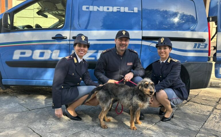 Lisa, cagnetta abbandonata e rinchiusa in canile, è stata adottata dalla Polizia di Reggio Calabria