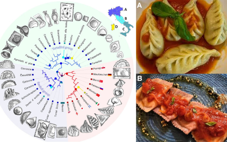 Lo sapevate? I culurgiones sono “evolutivamente” più vicini alla pasta ripiena asiatica