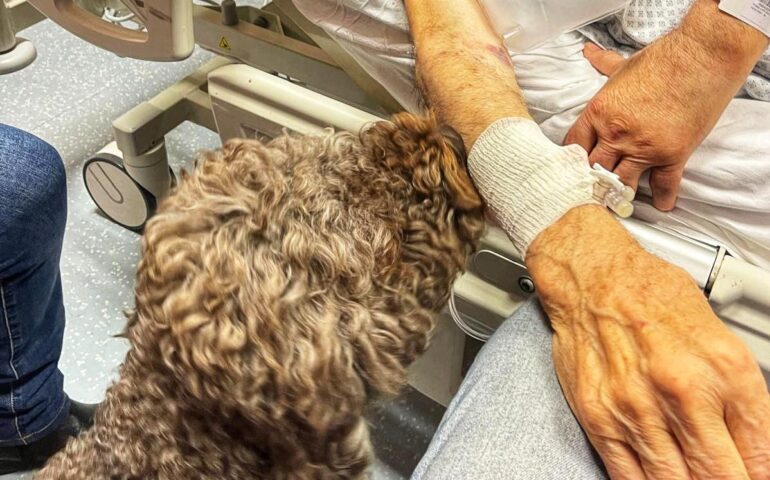 Milano: anziano malato terminale chiede di vedere per l’ultima volta la sua cagnetta