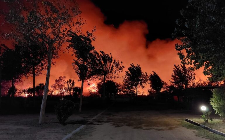 incendio ogliastra