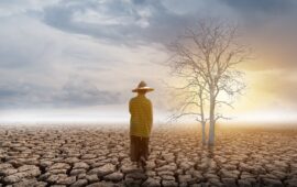 cambiamento climatico siccità envato