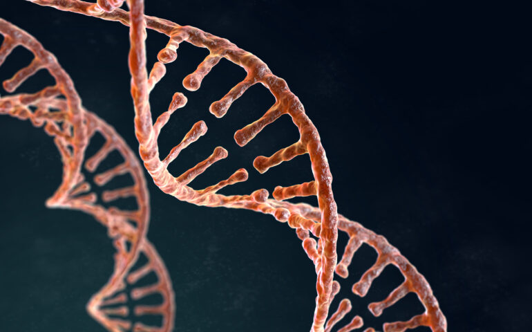 DNA