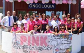 Pink Flamingos a Lanusei