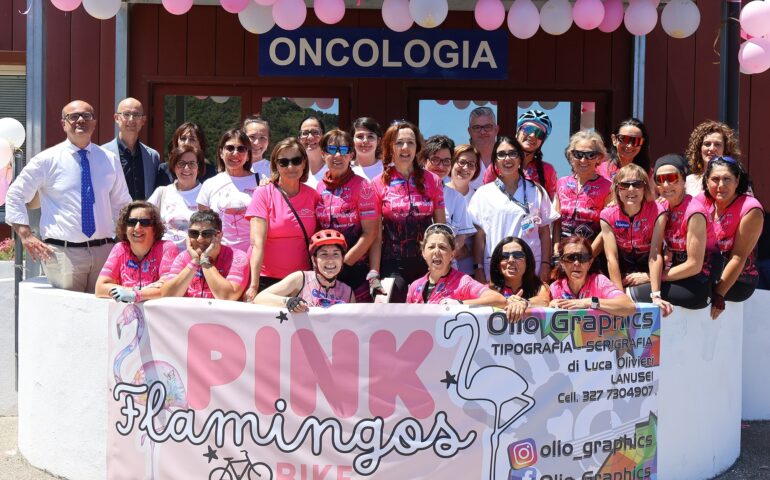 Pink Flamingos a Lanusei