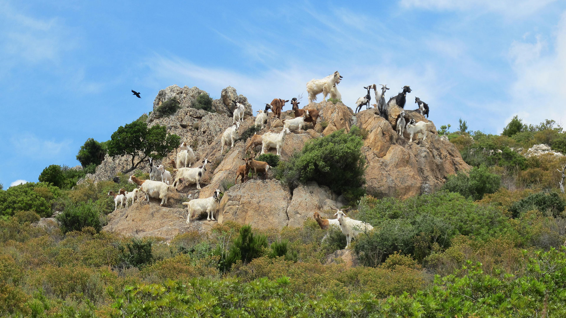 cammino santa barbara