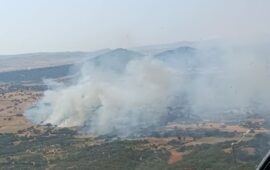 incendio Ardara