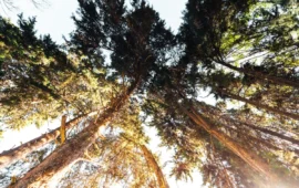 Calidade de s’ària in Sardigna: unu cuadru intreu chi faghet coraggiu