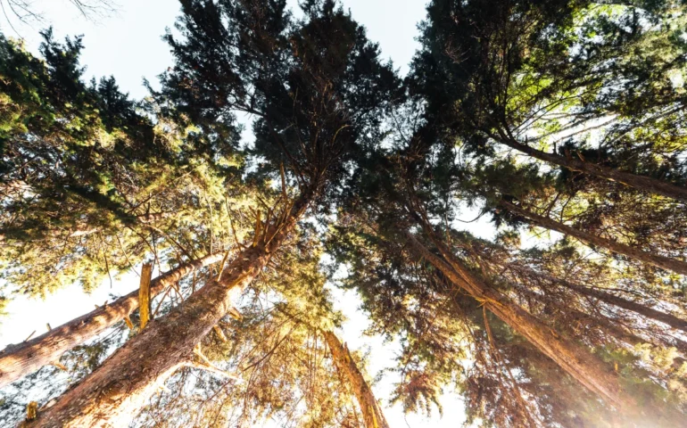 Calidade de s’ària in Sardigna: unu cuadru intreu chi faghet coraggiu