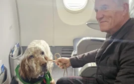 aeroitalia cane a bordo