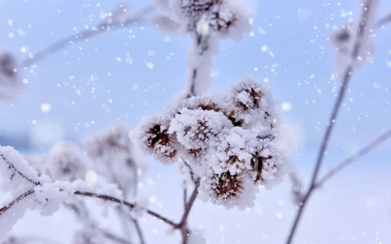 Jerru fora de istajone in Sardigna:nie in su Gennargentu e astrau intre sa Chida Santa.