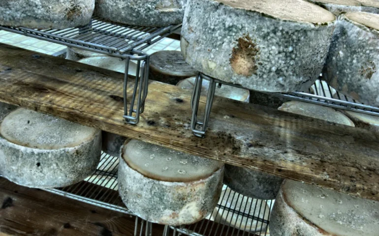 Casu sardu, unu patrimoniu de sapores intre connottu e iscrocca.