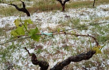 Grandine in Sardegna