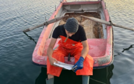 Apathico Giorno per giorno