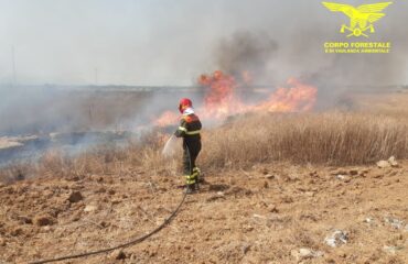 incendi in sardegna