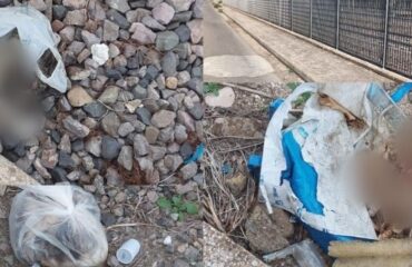 cani uccisi a serramanna