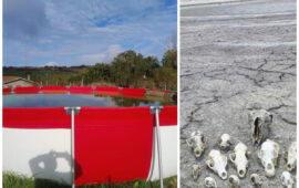 Piattaforme anti annegamento e teschi di animali annegati (Foto Forestas)