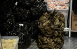 ostriche e cozze irregolari a cagliari