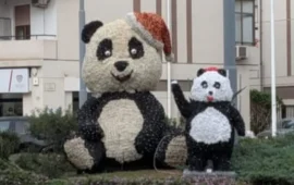 panda di natale a quartu
