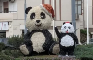 panda di natale a quartu